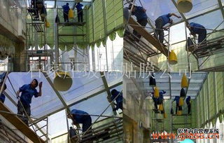 石家庄建筑膜 专业施工与优质服务构筑美好未来
